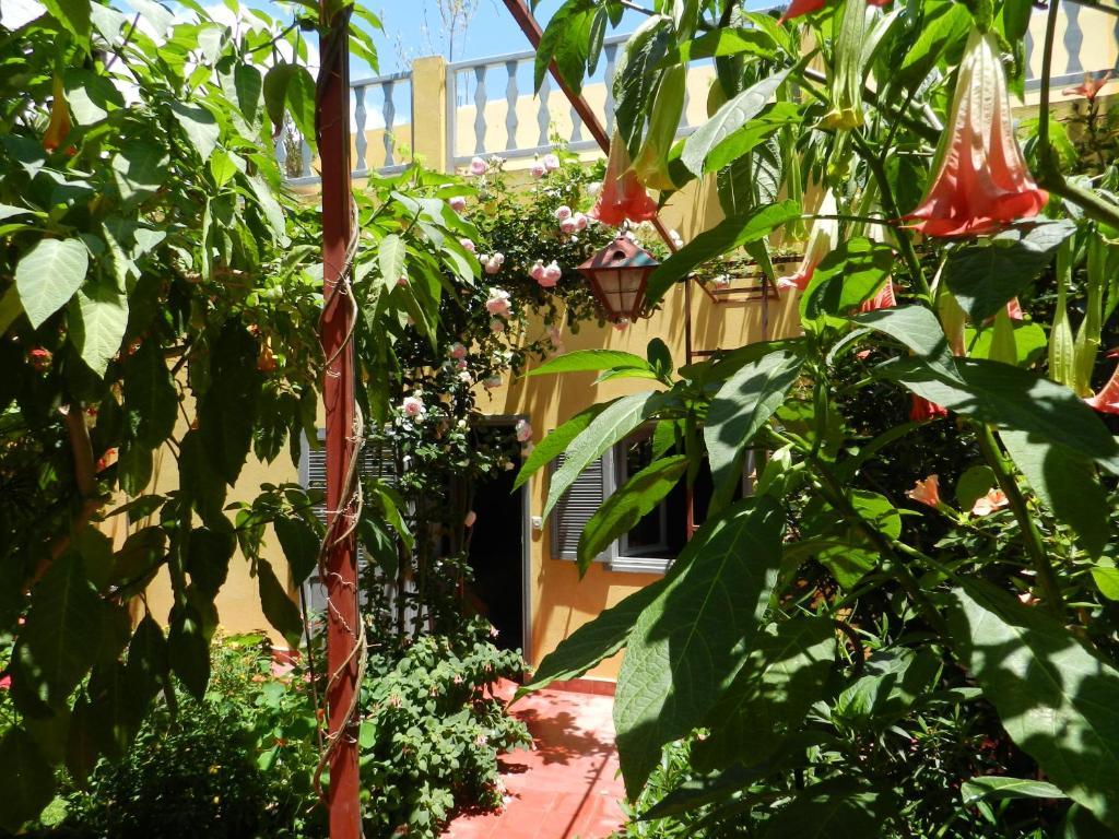 Dar Beldi Bed and Breakfast Oualidia Rum bild