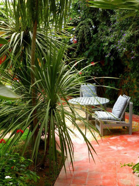 Dar Beldi Bed and Breakfast Oualidia Rum bild
